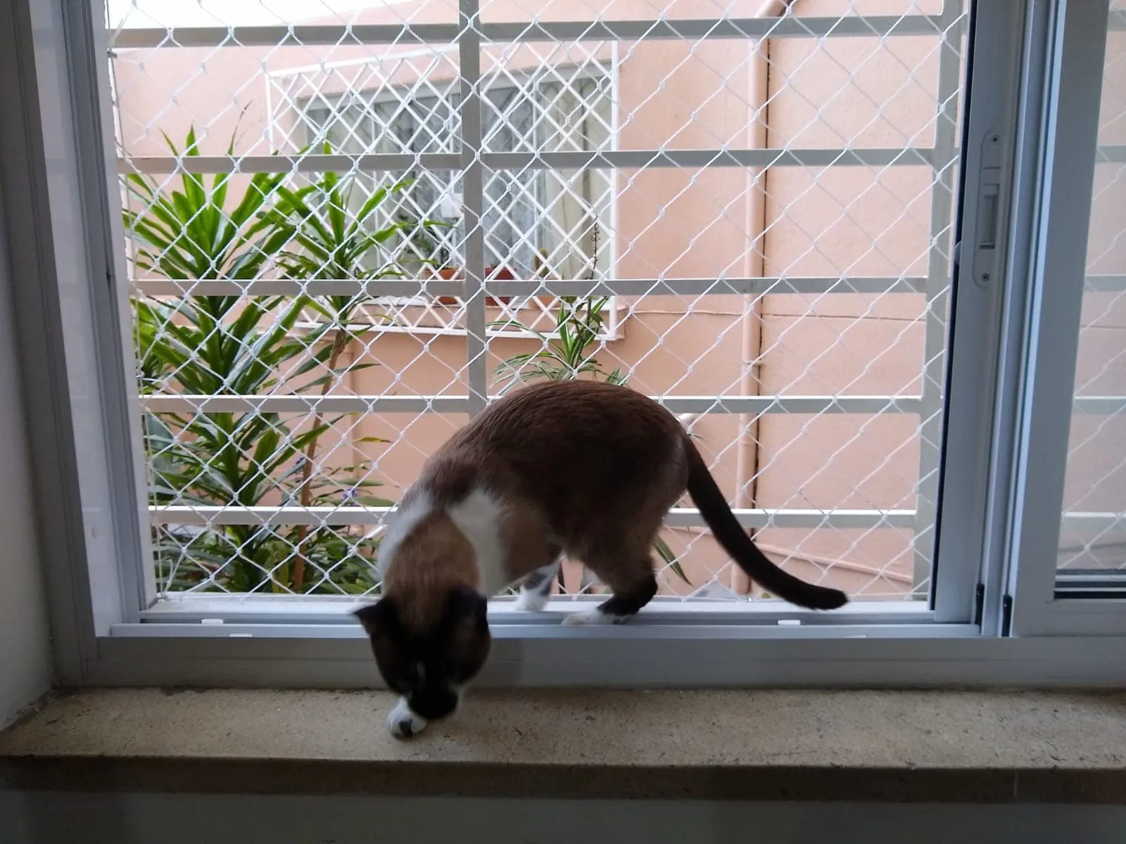 Instalação Realizada