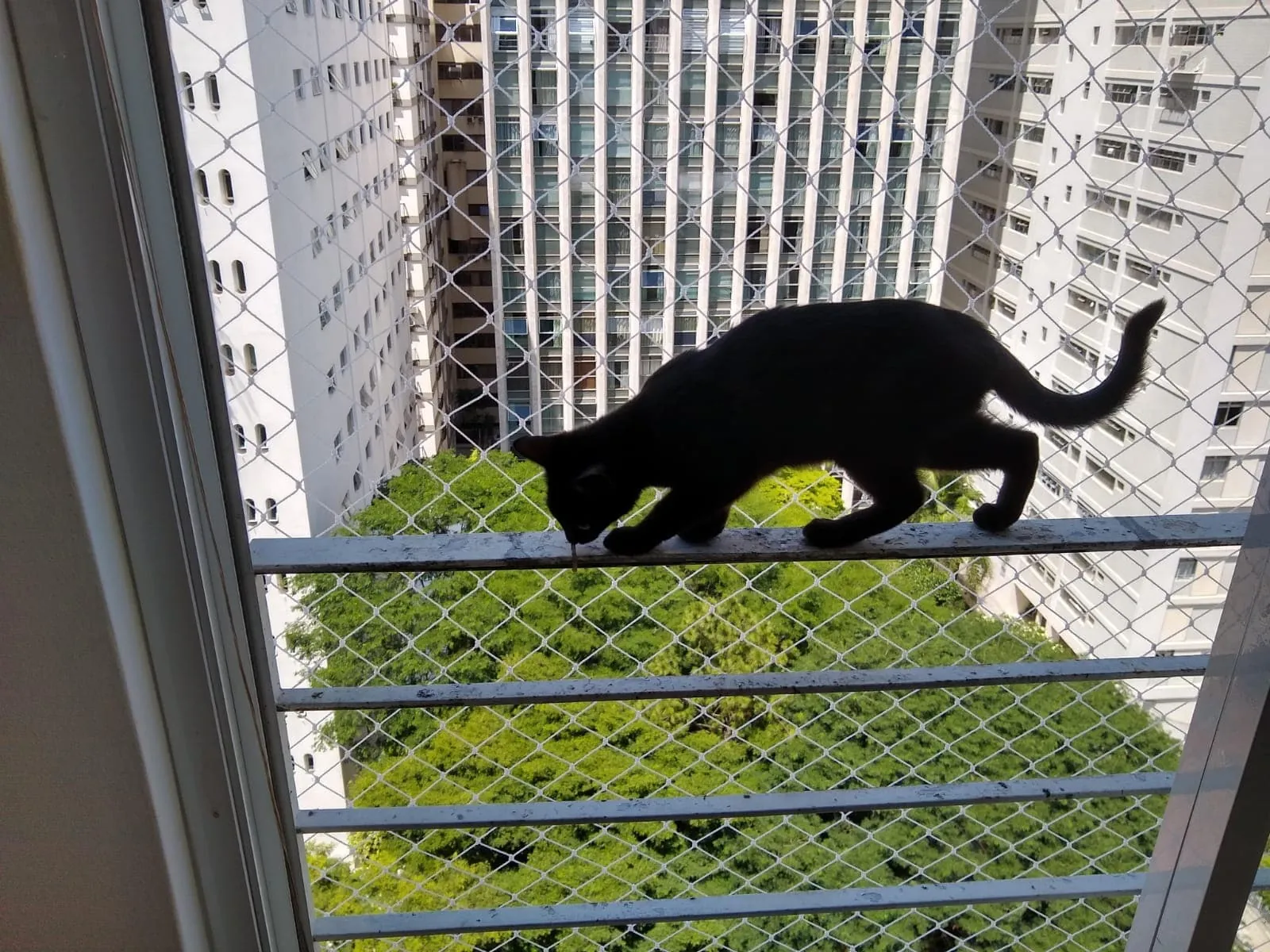 Instalação Realizada